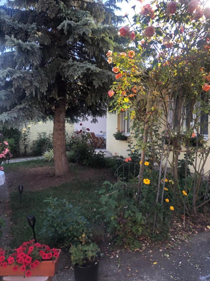 Das Kleine Haus Breitenbrunn  Dış mekan fotoğraf
