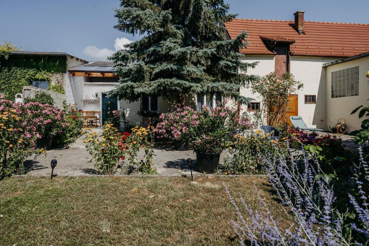Das Kleine Haus Breitenbrunn  Dış mekan fotoğraf
